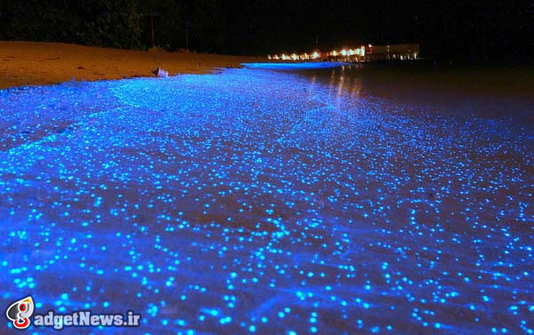 glowing blue waves vaadhoo island maldives