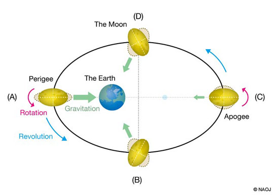نمودار چرخشی میدان گرانش ماه و زمین