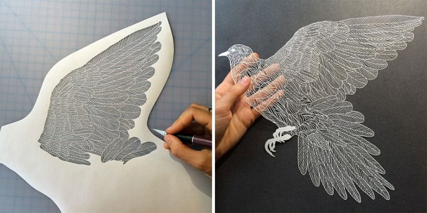 delicate-cut-paper-art-illustrations-maude-white-12