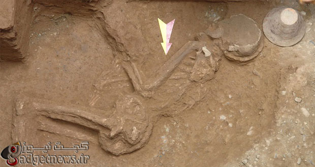 کاووش های باستانی قدمت ۷ هزار ساله تهران را تأیید کرد