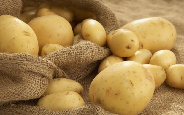 irish-potato-620x388.jpg