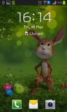 ۴_easter_bunny.jpg