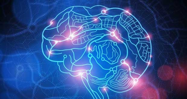 این یک تخیل نیست : دانشمندان موفق به اتصال چند مغز به یکدیگر و ساخت یک ابر مغز قدرتمند شدند !