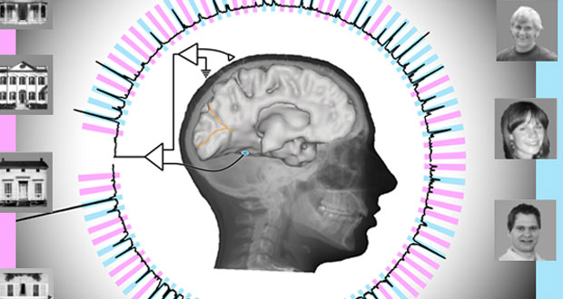 دانشمندان موفق به خواندن سیگنال های مغزی انسان با دقتی بسیار بالا شدند