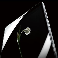 گوشی Freetel Kiwami با نمایشگر کواد اچ دی 6 اینچی در آمریکا عرضه خواهد شد 1