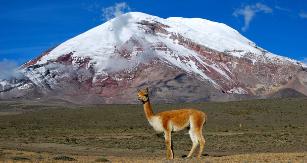 اورست بلندترین قله جهان نیست! 1
