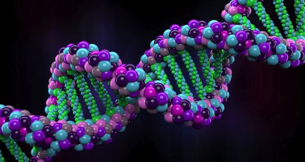 مولکول DNA