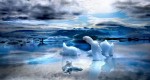 iceland-nature-travel-photography-21-5863c390eb5b1__880
