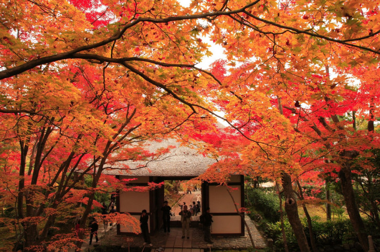 Jojakko-ji Temple, Kyoto, Japan